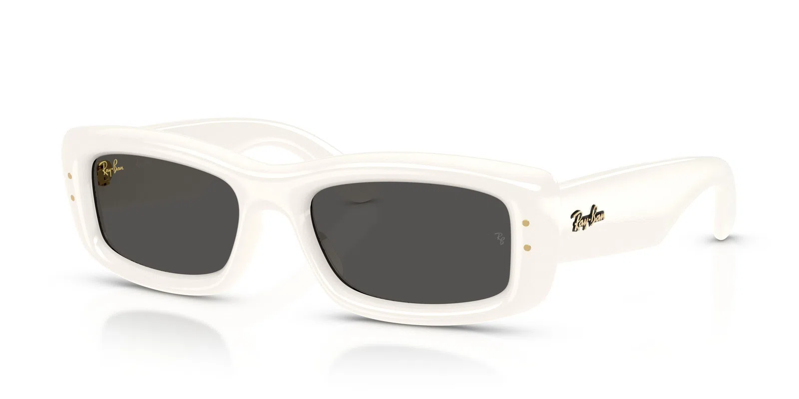 Ray-Ban 4944 Sunglasses - view 19